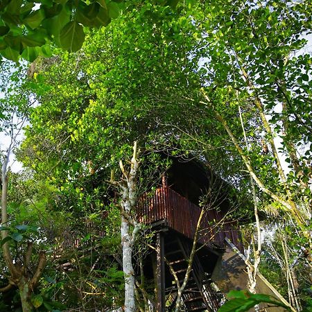 Greens Tree House & Wood House 苏丹巴特利 外观 照片