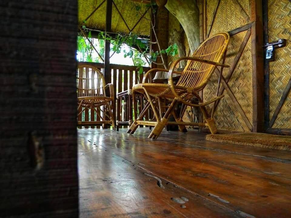 Greens Tree House & Wood House 苏丹巴特利 外观 照片
