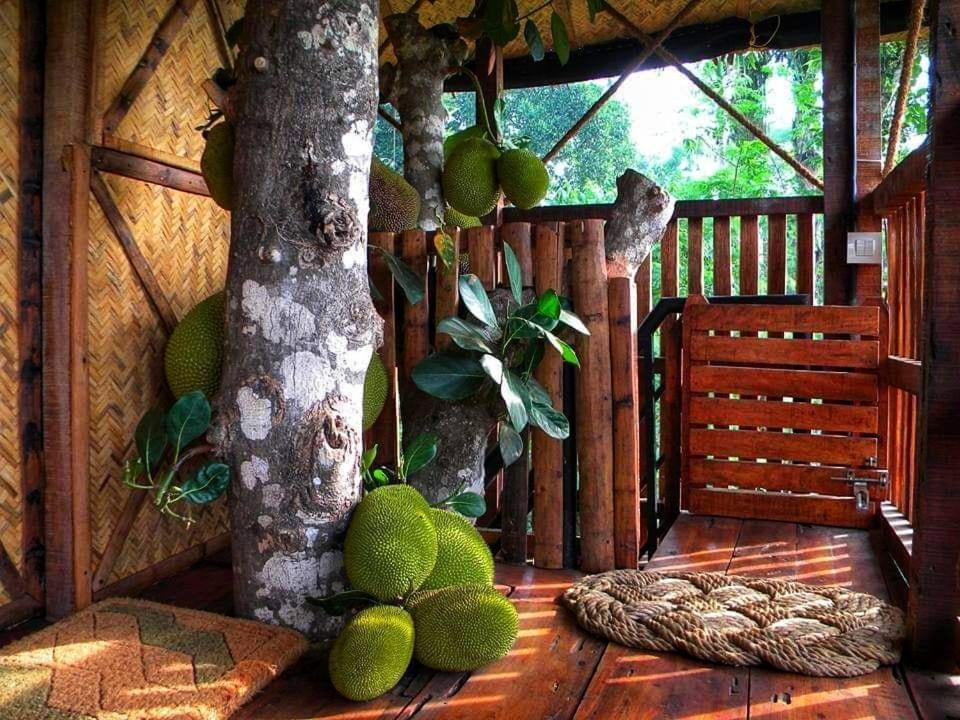 Greens Tree House & Wood House 苏丹巴特利 外观 照片