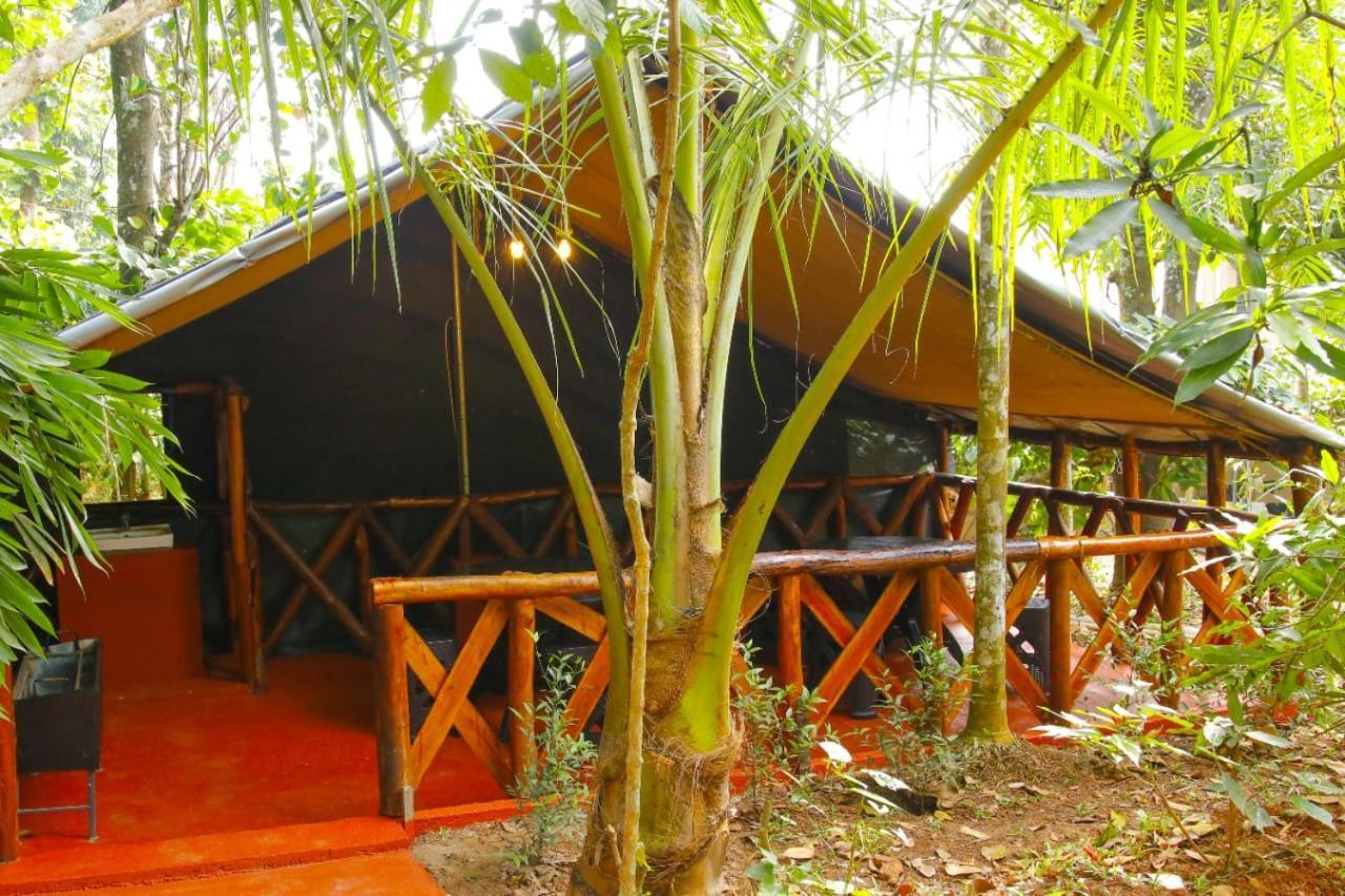 Greens Tree House & Wood House 苏丹巴特利 外观 照片