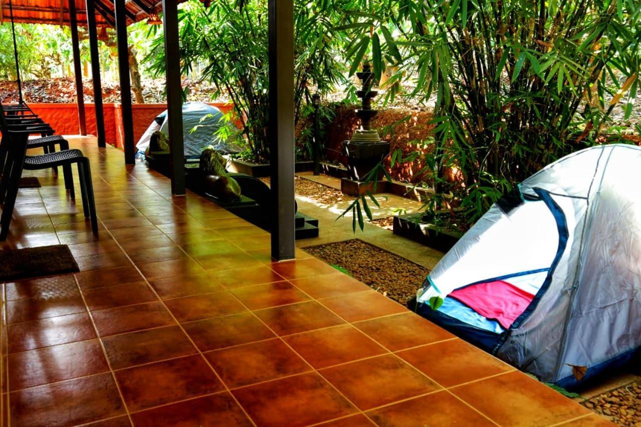 Greens Tree House & Wood House 苏丹巴特利 外观 照片