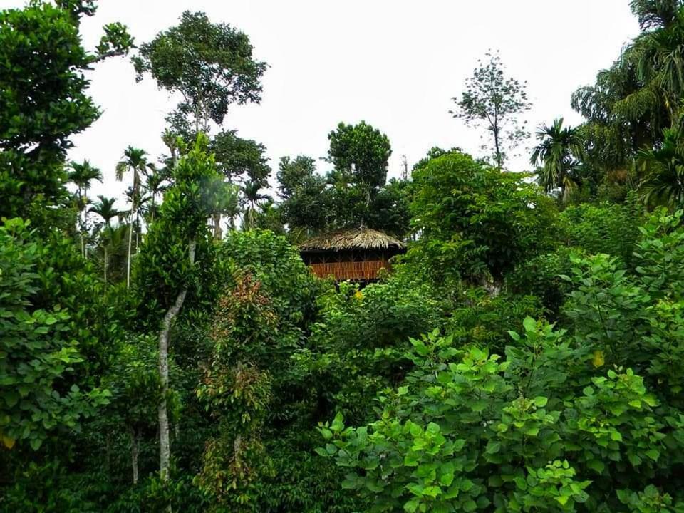 Greens Tree House & Wood House 苏丹巴特利 外观 照片