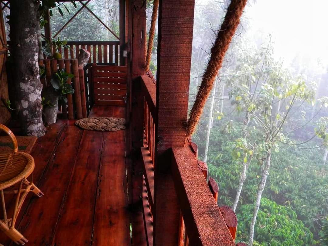 Greens Tree House & Wood House 苏丹巴特利 外观 照片