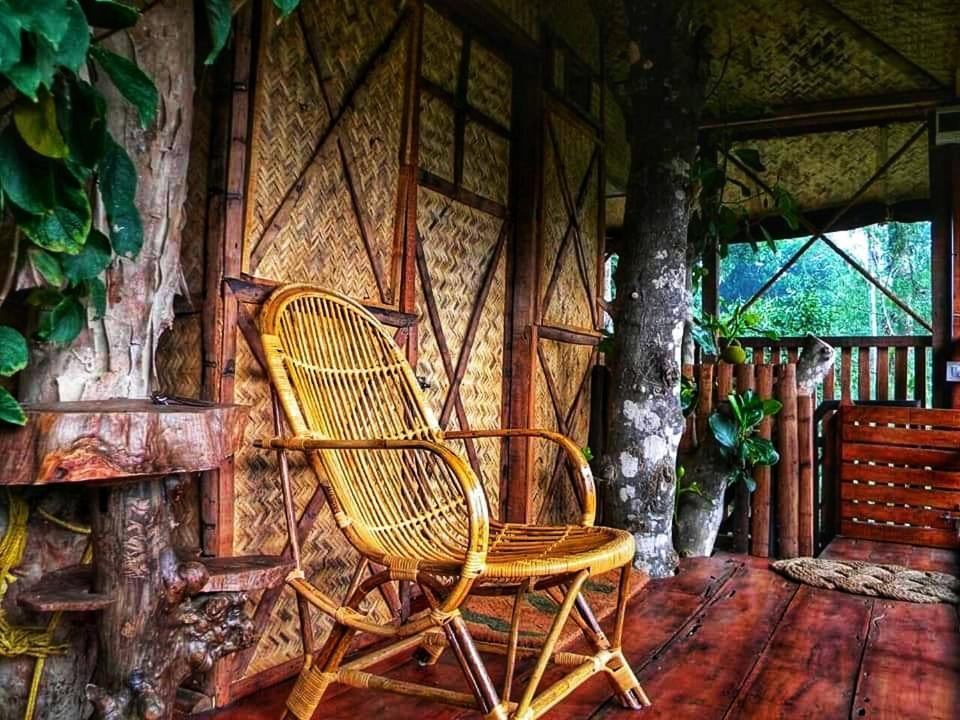 Greens Tree House & Wood House 苏丹巴特利 外观 照片