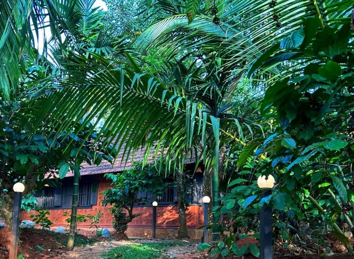 Greens Tree House & Wood House 苏丹巴特利 外观 照片