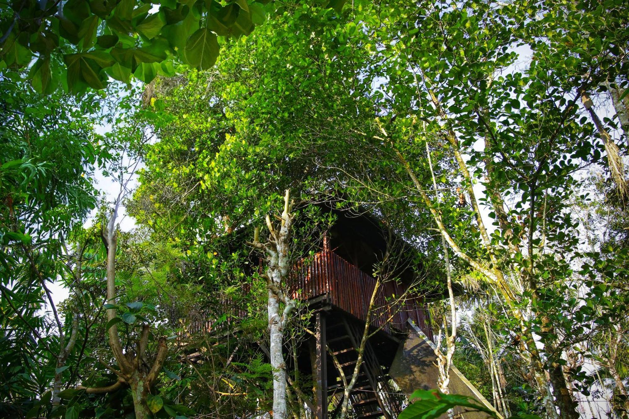 Greens Tree House & Wood House 苏丹巴特利 外观 照片