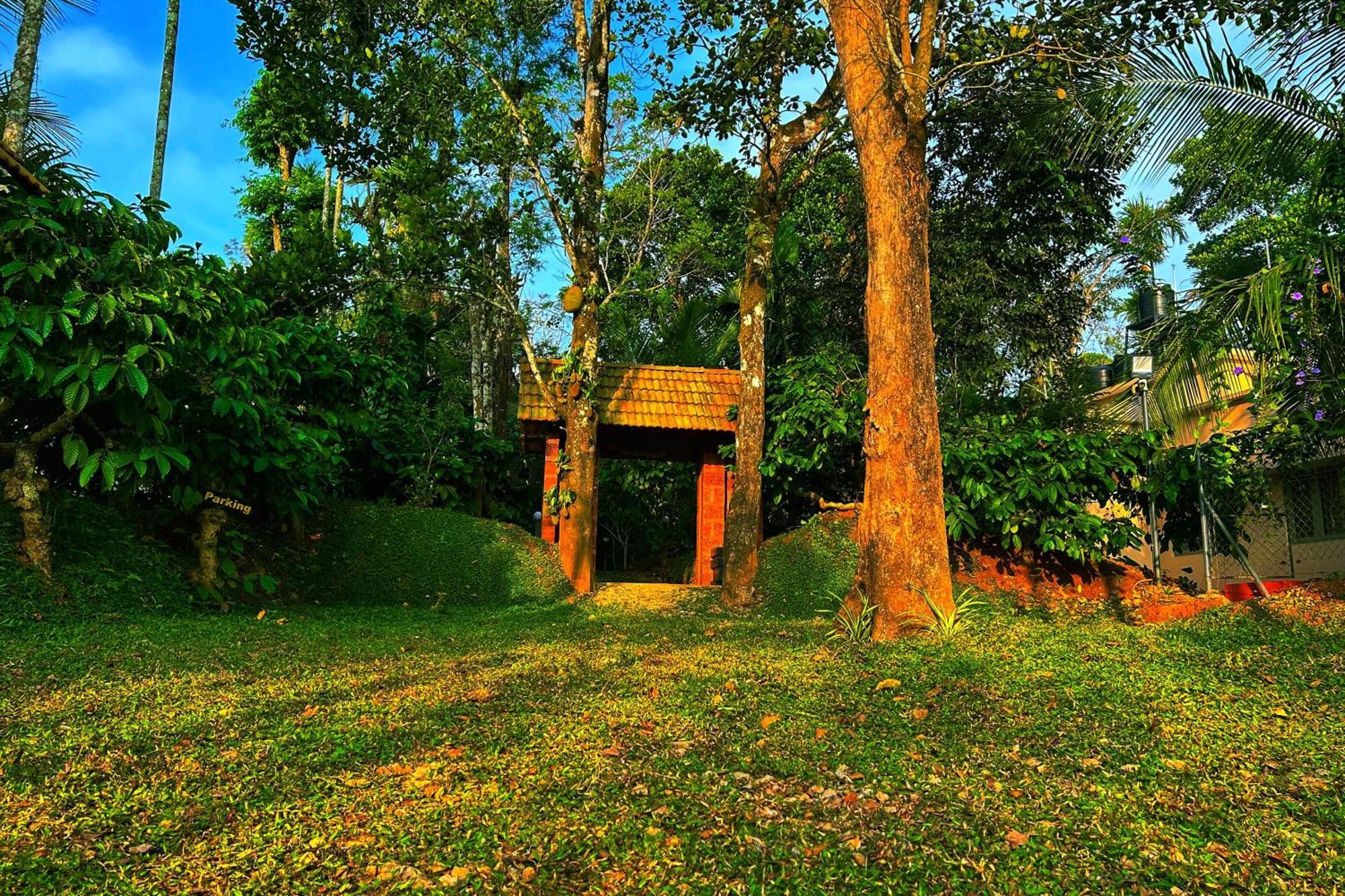 Greens Tree House & Wood House 苏丹巴特利 外观 照片