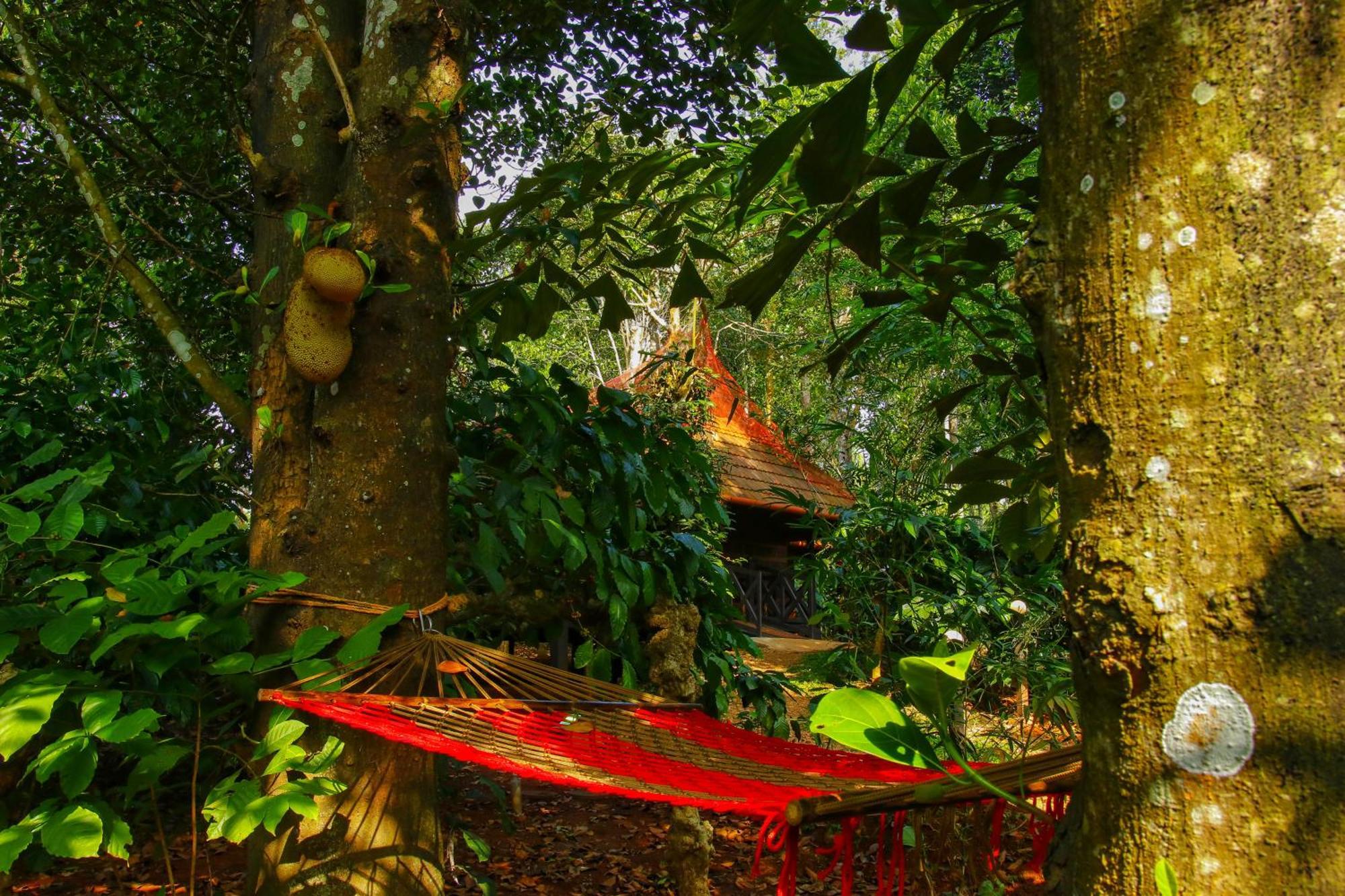 Greens Tree House & Wood House 苏丹巴特利 外观 照片
