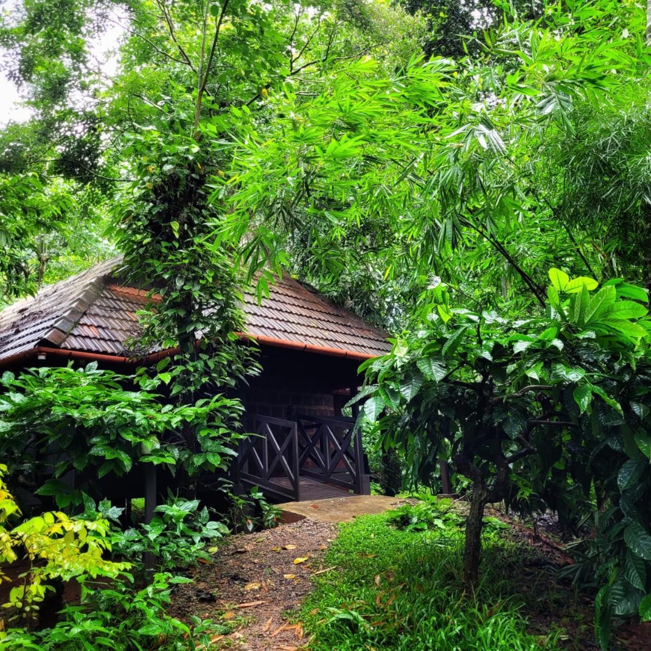 Greens Tree House & Wood House 苏丹巴特利 外观 照片