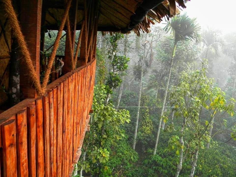 Greens Tree House & Wood House 苏丹巴特利 外观 照片