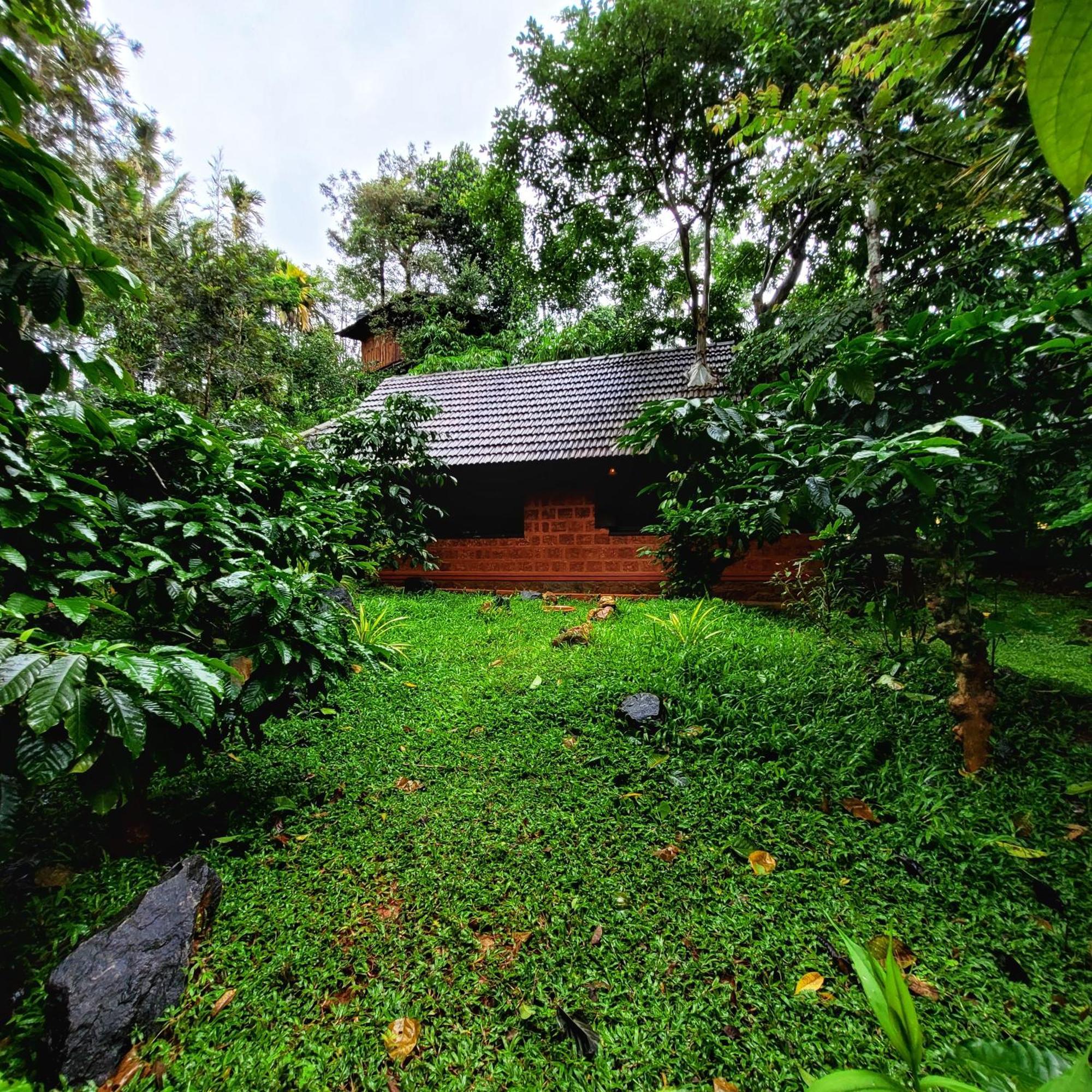 Greens Tree House & Wood House 苏丹巴特利 外观 照片