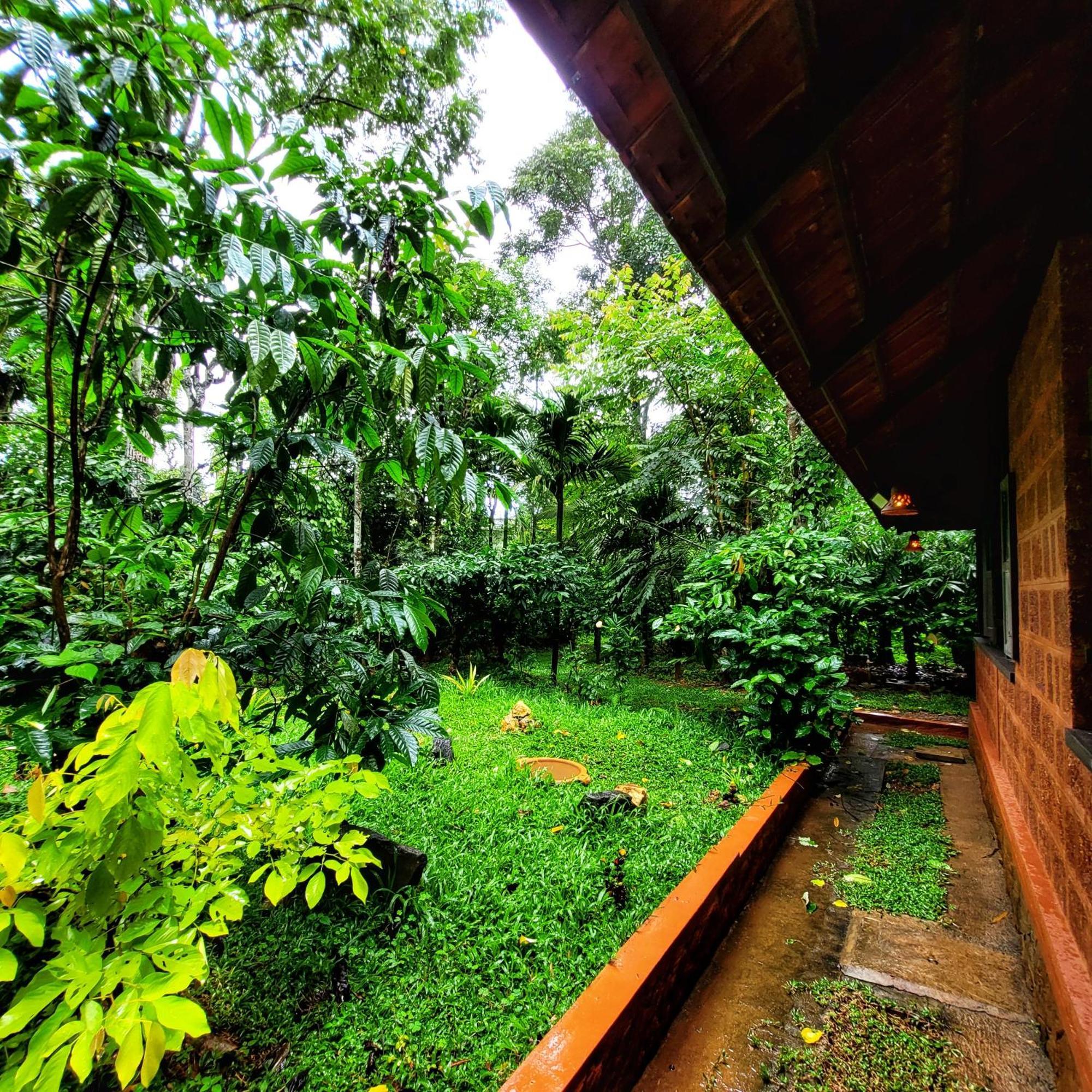 Greens Tree House & Wood House 苏丹巴特利 外观 照片