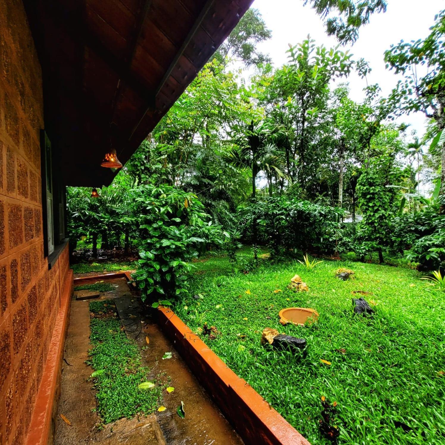 Greens Tree House & Wood House 苏丹巴特利 外观 照片