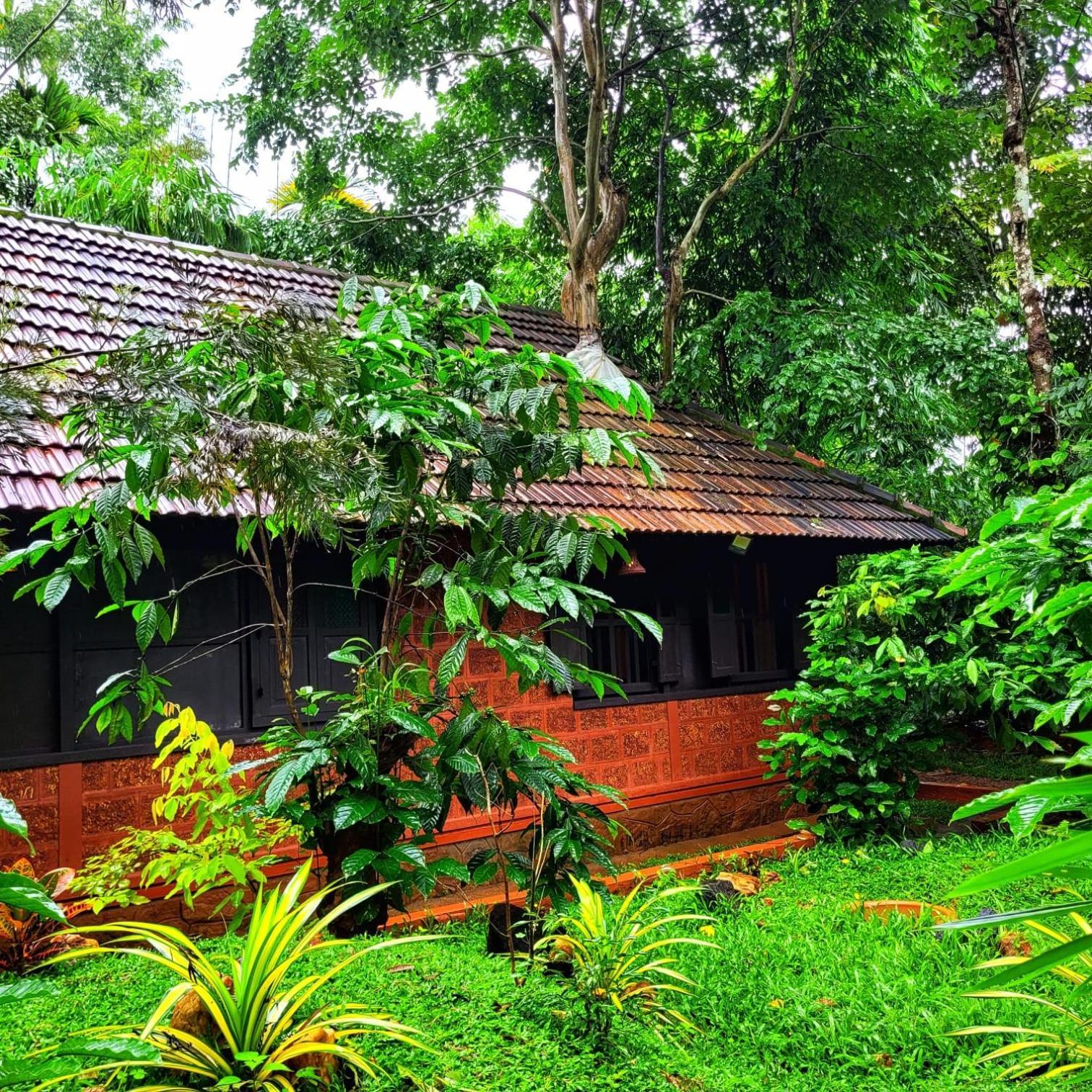 Greens Tree House & Wood House 苏丹巴特利 外观 照片