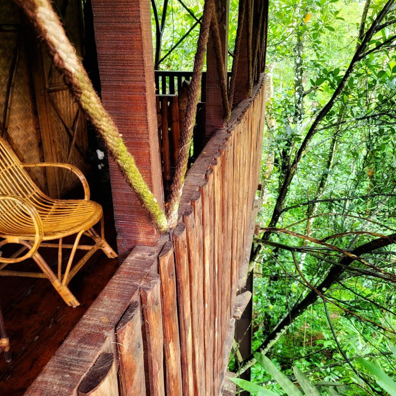 Greens Tree House & Wood House 苏丹巴特利 外观 照片