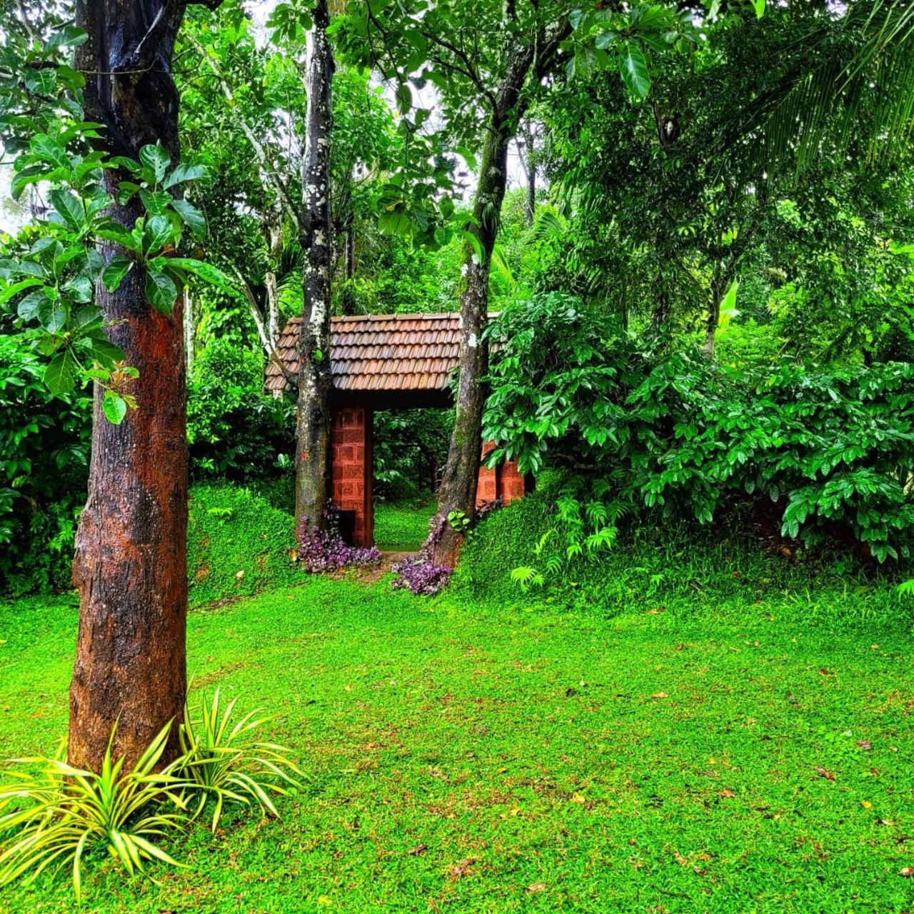 Greens Tree House & Wood House 苏丹巴特利 外观 照片