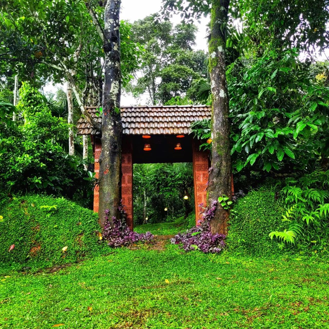 Greens Tree House & Wood House 苏丹巴特利 外观 照片