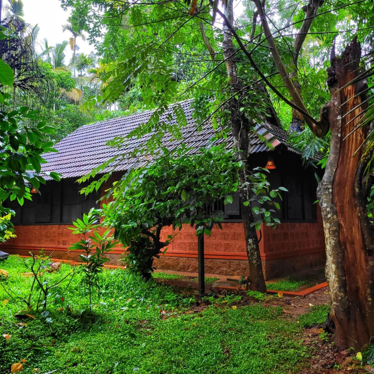 Greens Tree House & Wood House 苏丹巴特利 外观 照片