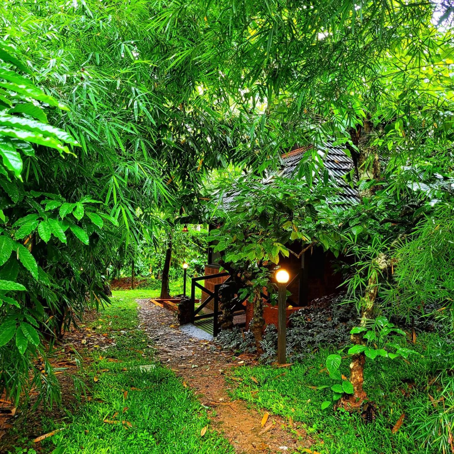 Greens Tree House & Wood House 苏丹巴特利 外观 照片