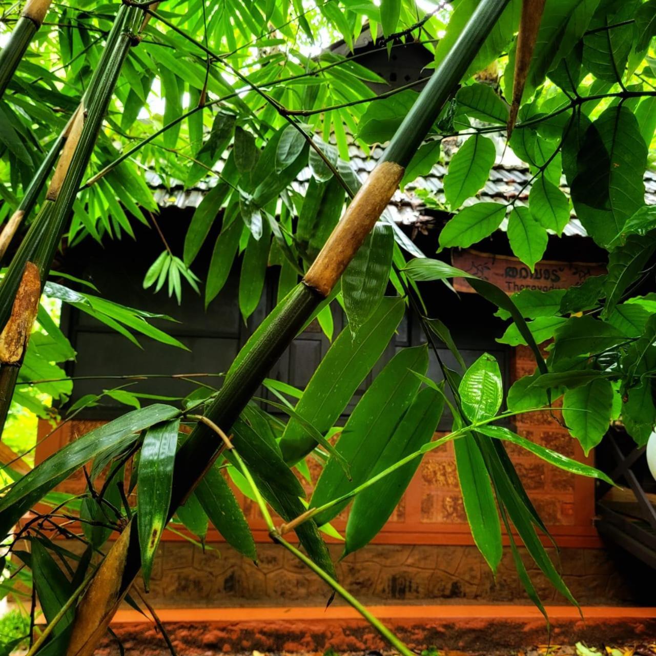 Greens Tree House & Wood House 苏丹巴特利 外观 照片