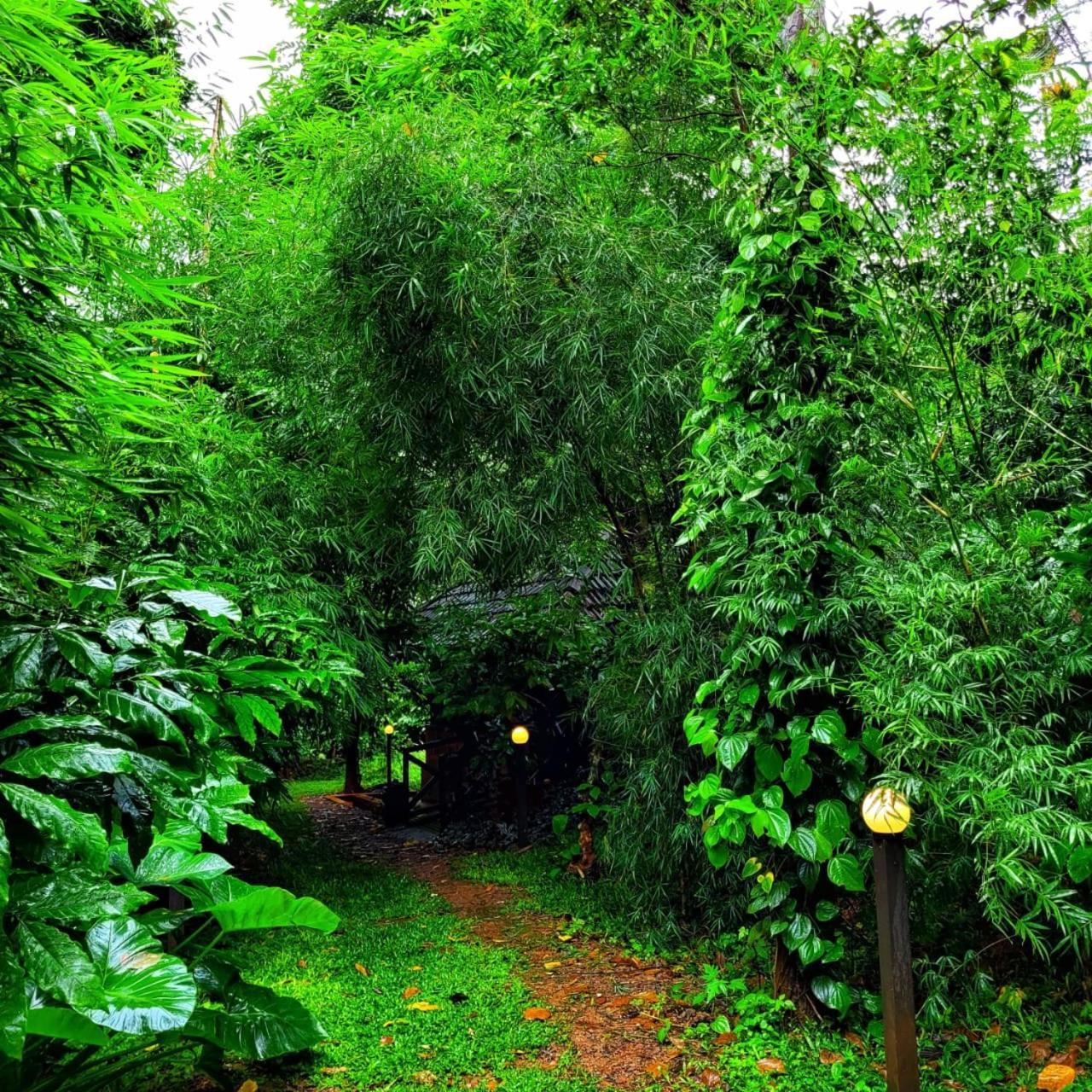 Greens Tree House & Wood House 苏丹巴特利 外观 照片