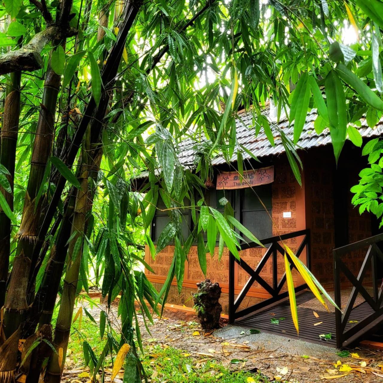 Greens Tree House & Wood House 苏丹巴特利 外观 照片